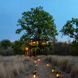 Pench Tree House