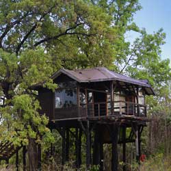Pench Tree House