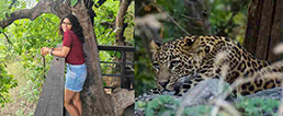 I Sighted Leopards & Stayed In A Luxury Cottage At Pench Tree Lodge In MP