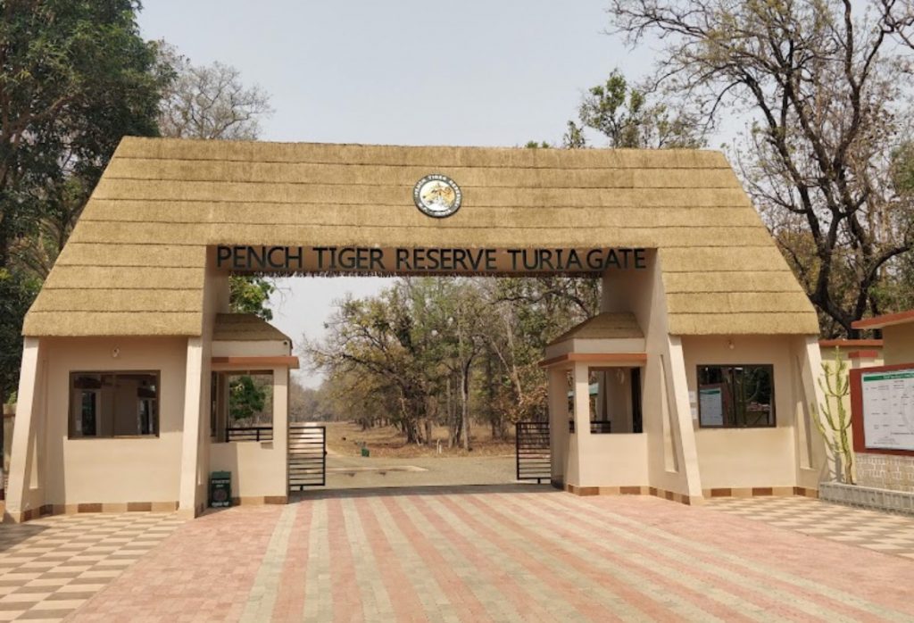 touria gate in pench tiger reserve