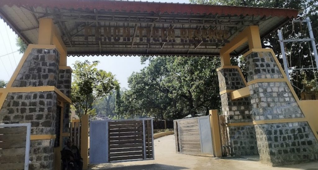 jamtara gate in pench tiger reserve