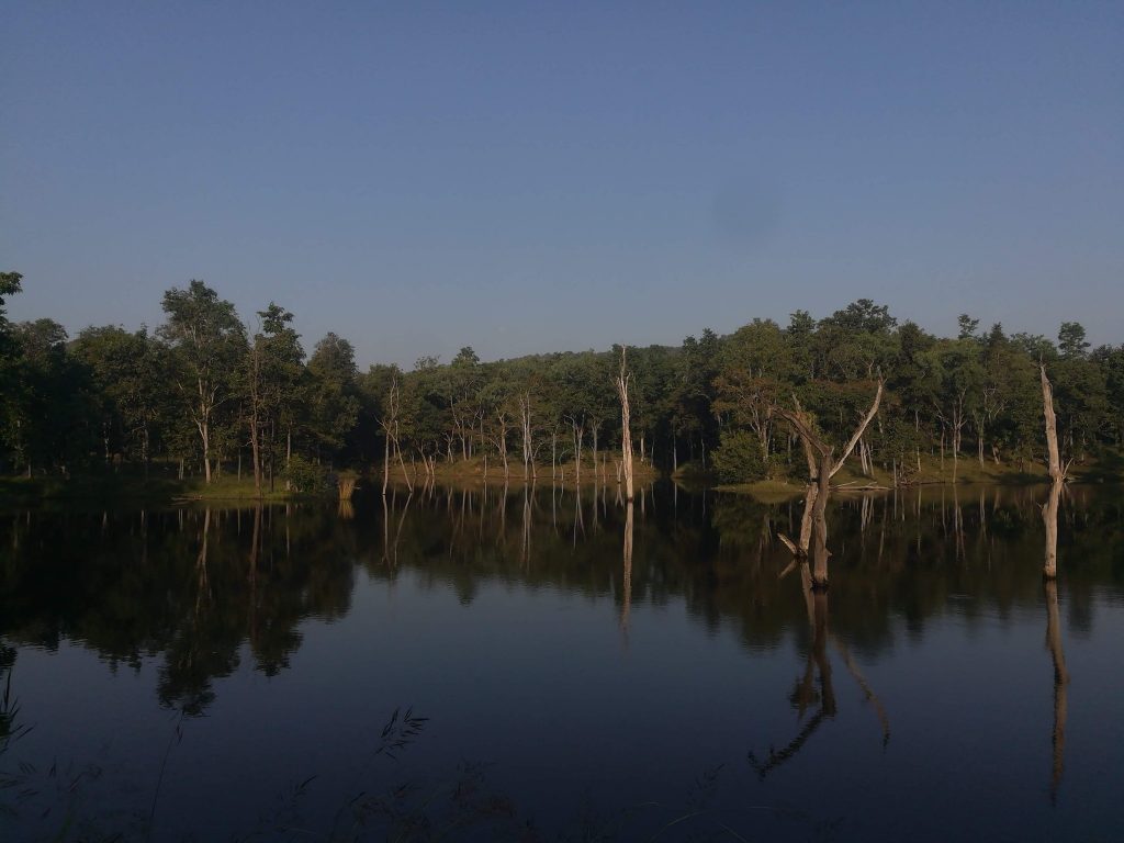 Seasons of Pench National Park