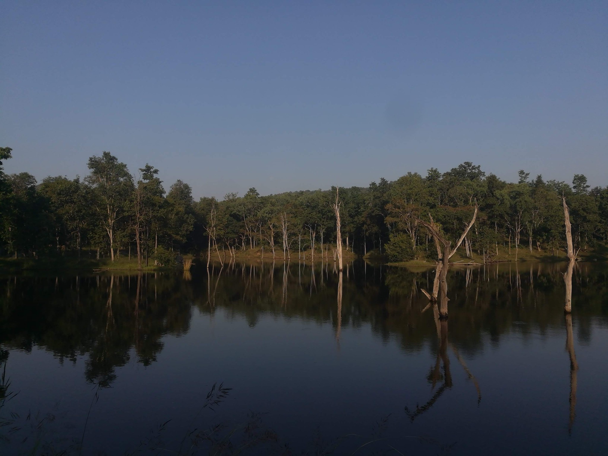 Seasons of Pench National Park