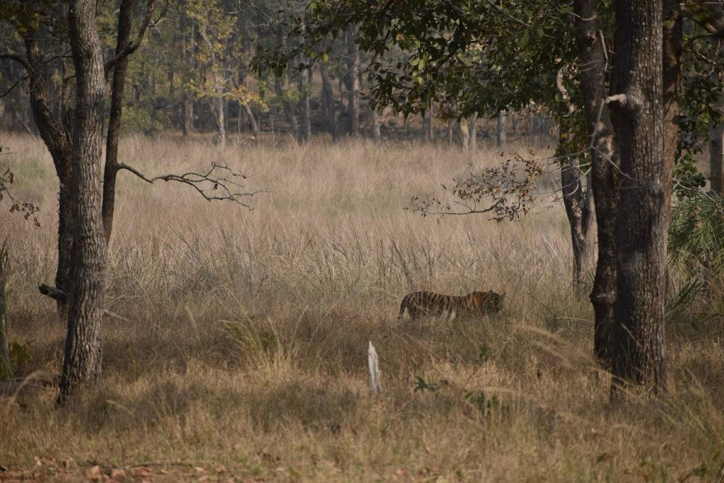 pench national park