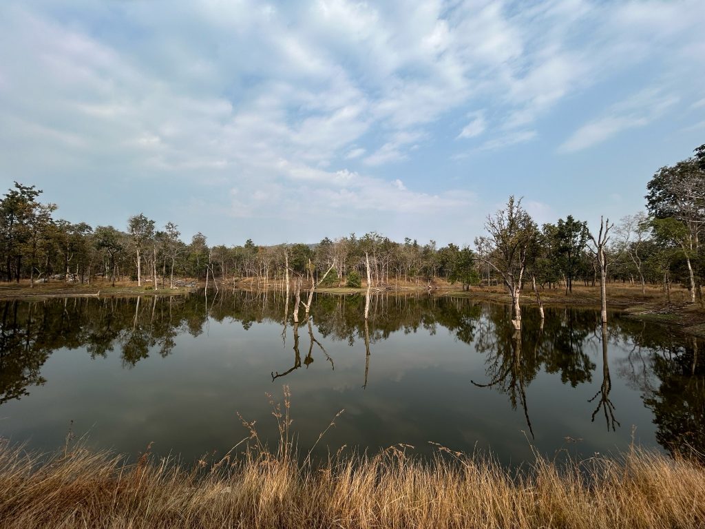 pench national park