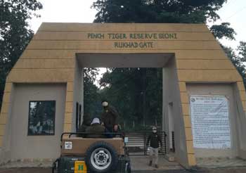 Best gates in Pench