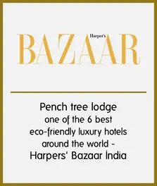 Harper's Bazaar India — Pench Tree Lodge Best Eco-Friendly Luxury Hotel