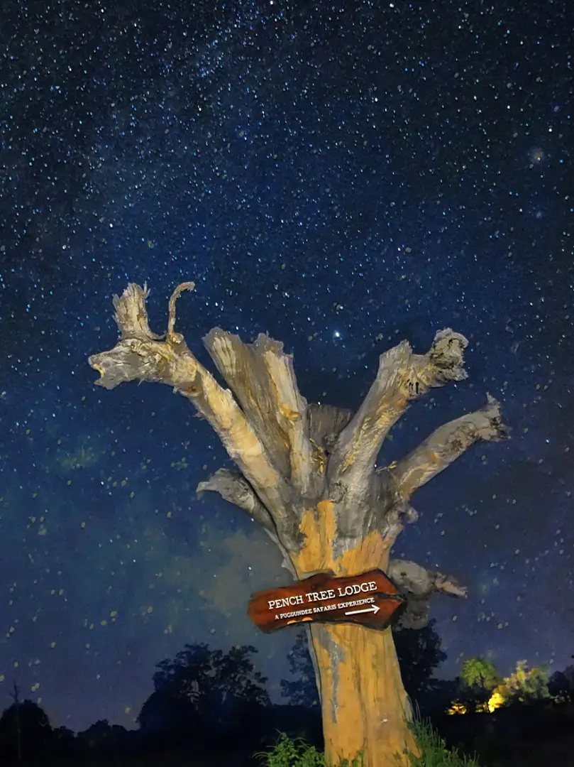 Pench Tree Lodge sign under a starry night sky