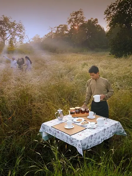 Outdoor breakfast experience in the wilderness at Pench Tree Lodge