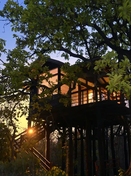 Luxury tree house at Pench Tree Lodge inside Pench National Park