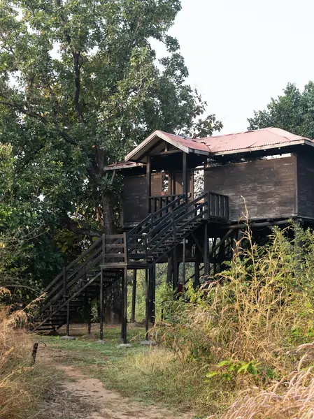 Elevated tree house accommodation at Pench Tree Lodge