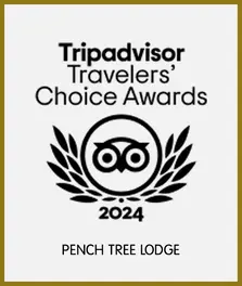 TripAdvisor Choice Award 2024 — Pench Tree Lodge
