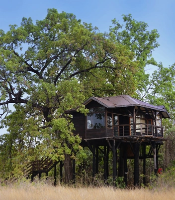 Tree House Exterior
