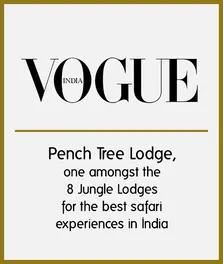 Vogue India — Pench Tree Lodge Best Safari Experience in India