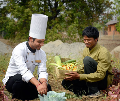 Organic Garden in Pench Tree Lodge