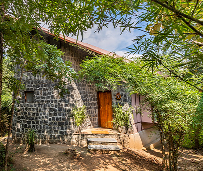 Treehouse Resort in Pench