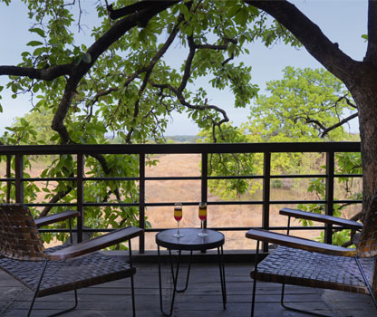 Treehouse in Pench