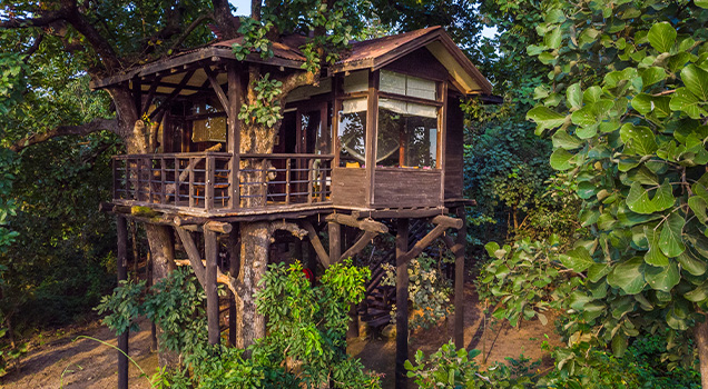 Luxury Accommodation in Pench