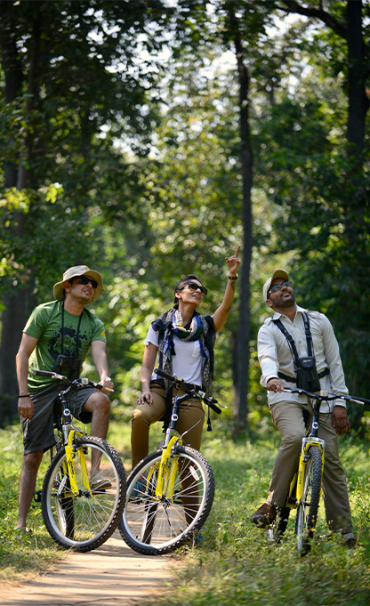 Nature Trails & Cycling in Pench